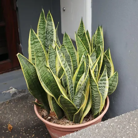 Feriehus Retiro Encantador Em - 5 Min E Centro A