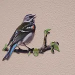 Retiro Encantador Em - 5 Min E Centro A Prázdninový dům *