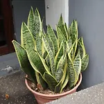 Prázdninový dům Retiro Encantador Em - 5 Min E Centro A