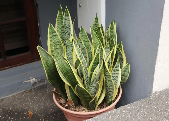 Prázdninový dům Retiro Encantador Em - 5 Min E Centro A